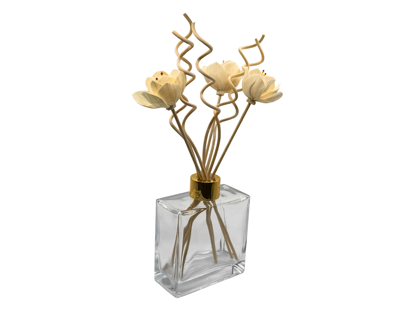 Clear Fragrance Diffuser